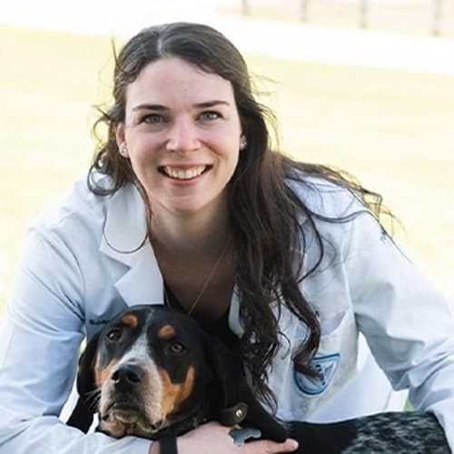 Dr. Sofia Santacaterina, Bellevue Veterinarian